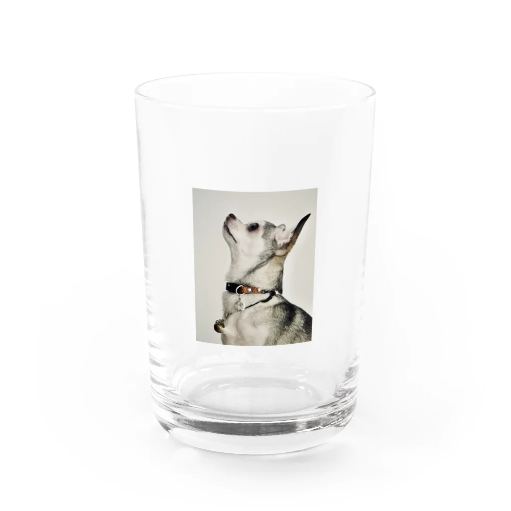 Kaori SasakiのMonSun Water Glass :front