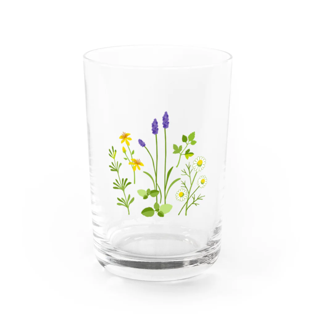 ypocketのハーブの図鑑 Water Glass :front