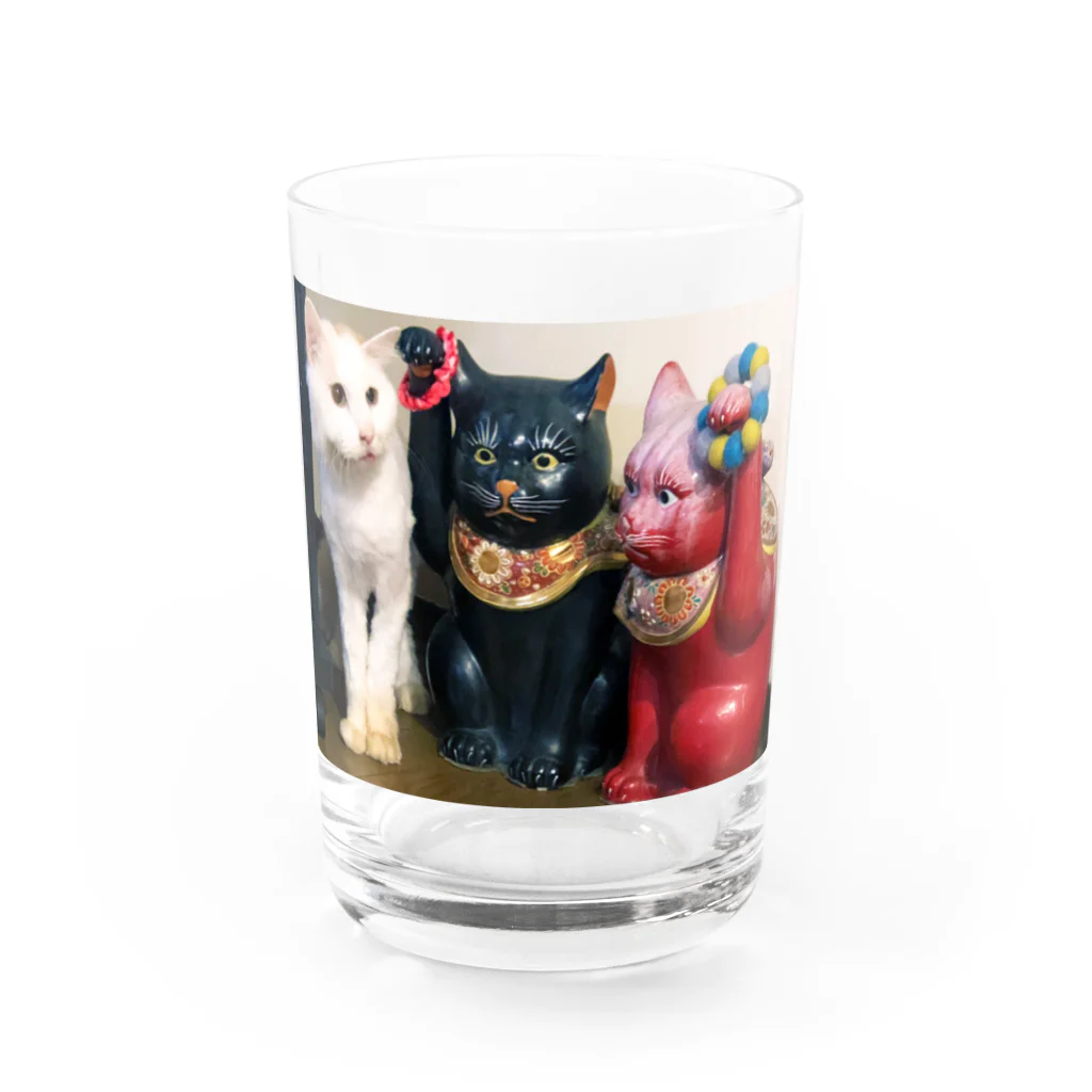 うちの猫ら　2号店のおかき Water Glass :front