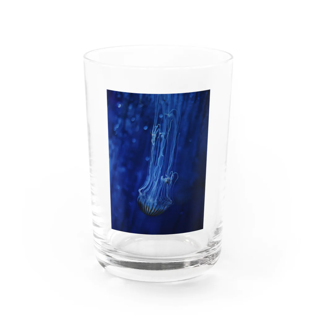 クツナ ノリコの海の仲間_1 Water Glass :front