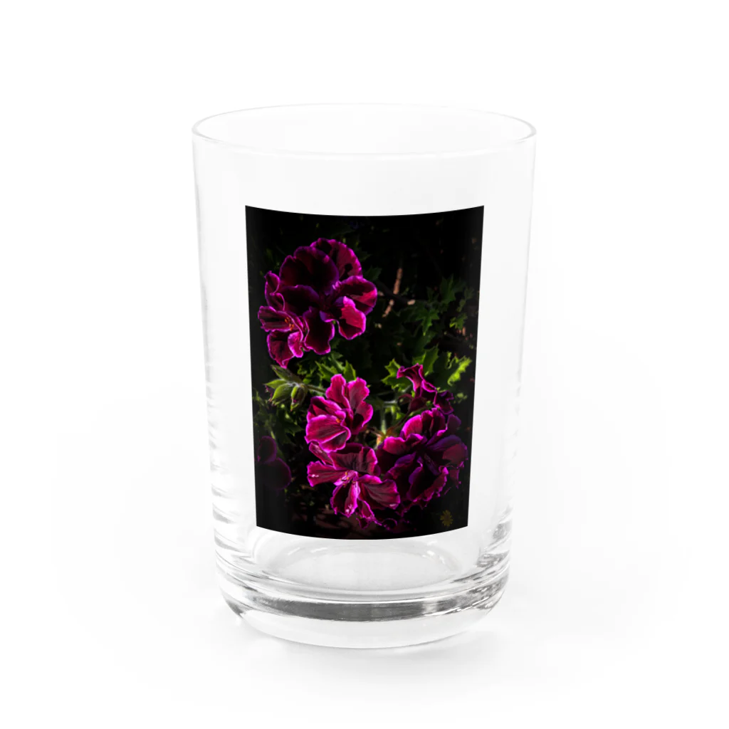 店ショップのブラックアンドピンク Water Glass :front