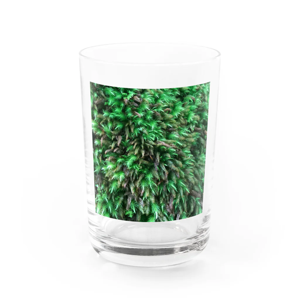 店ショップのモスモス Water Glass :front