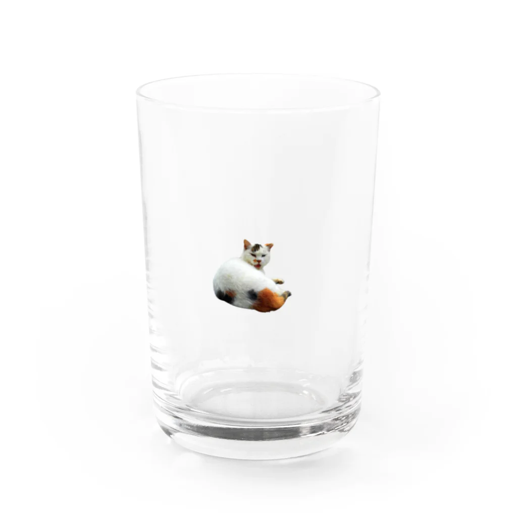 cheap sheep.のぬこ(いかく) Water Glass :front