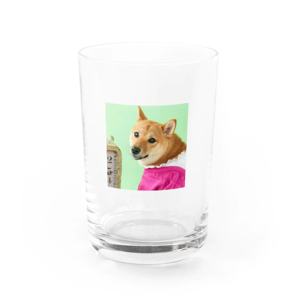 柴犬グッズ専門店 あられ堂の柴犬　レトロお嬢様編 Water Glass :front