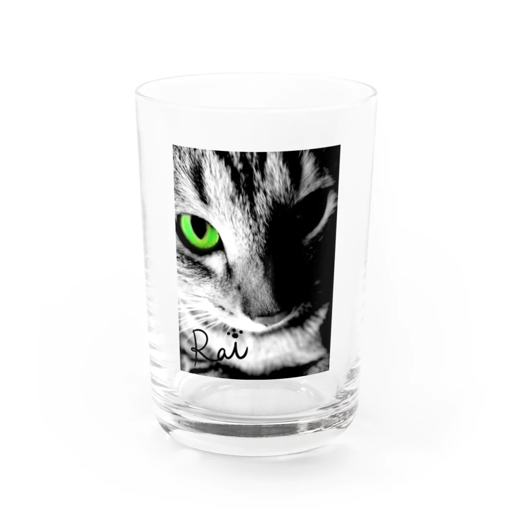 虎徹 雷蔵丸のうちの猫 Water Glass :front