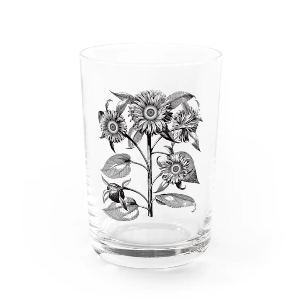 KIDNEYのTHE SUN mother Water Glass :front