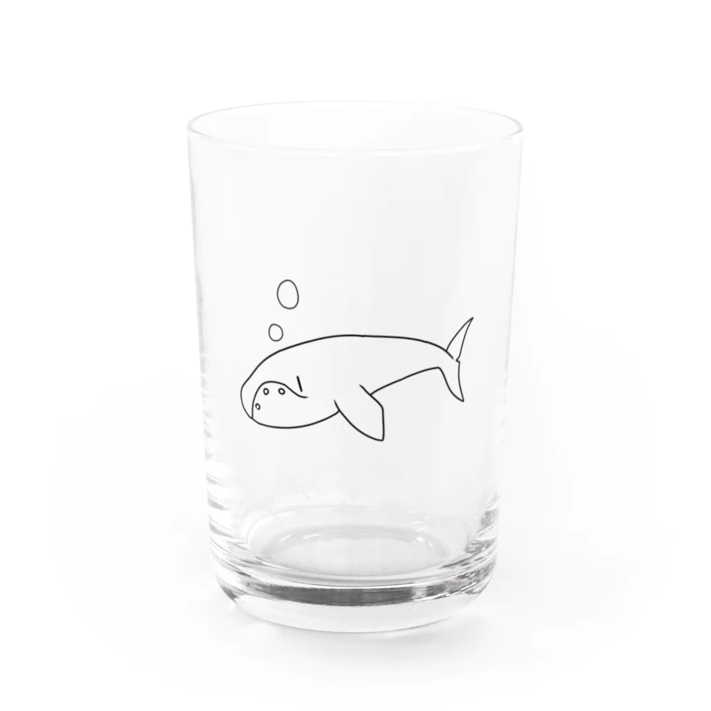 アトリエヱキパのセミクジラ Water Glass :front