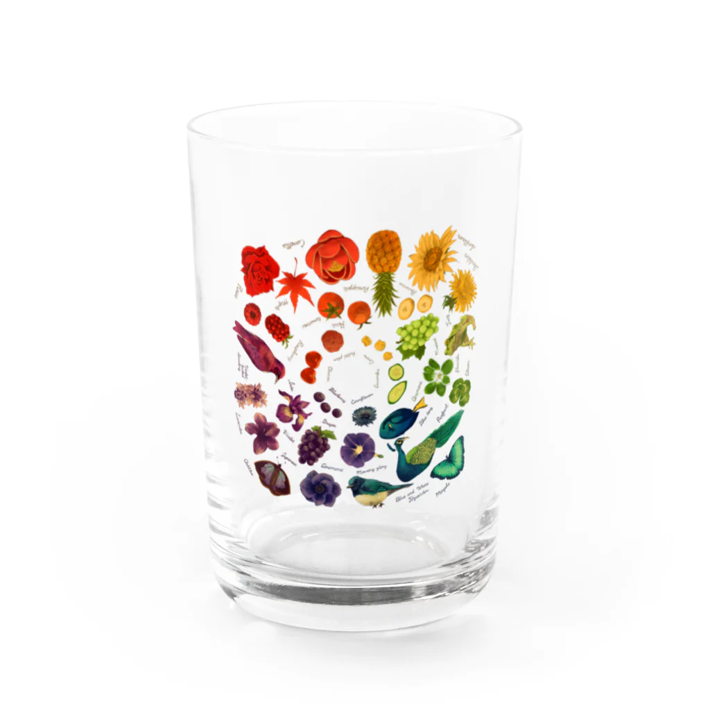 ユキノのショップのカラフル Water Glass :front