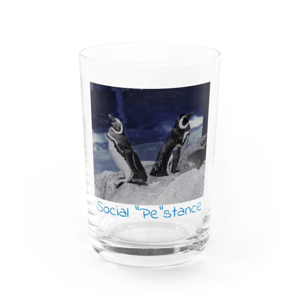 こはくさんとぺんぎんのSocial "Pe"stance Water Glass :front