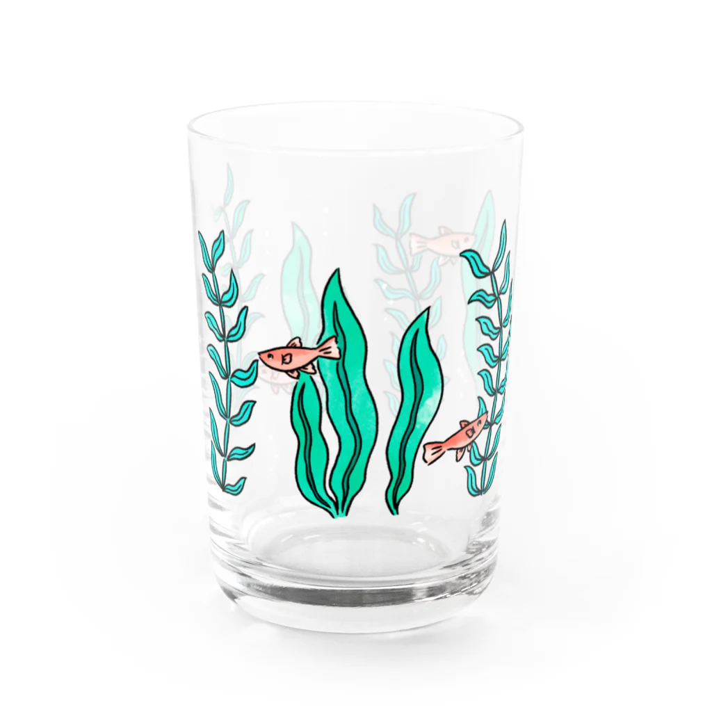 おさつの🐟 Water Glass :front