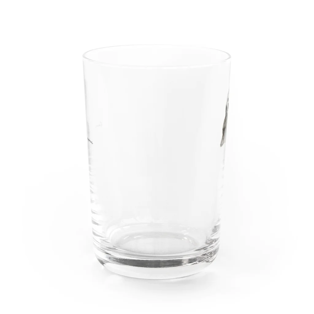 Canako Inoueのラッコ Water Glass :front