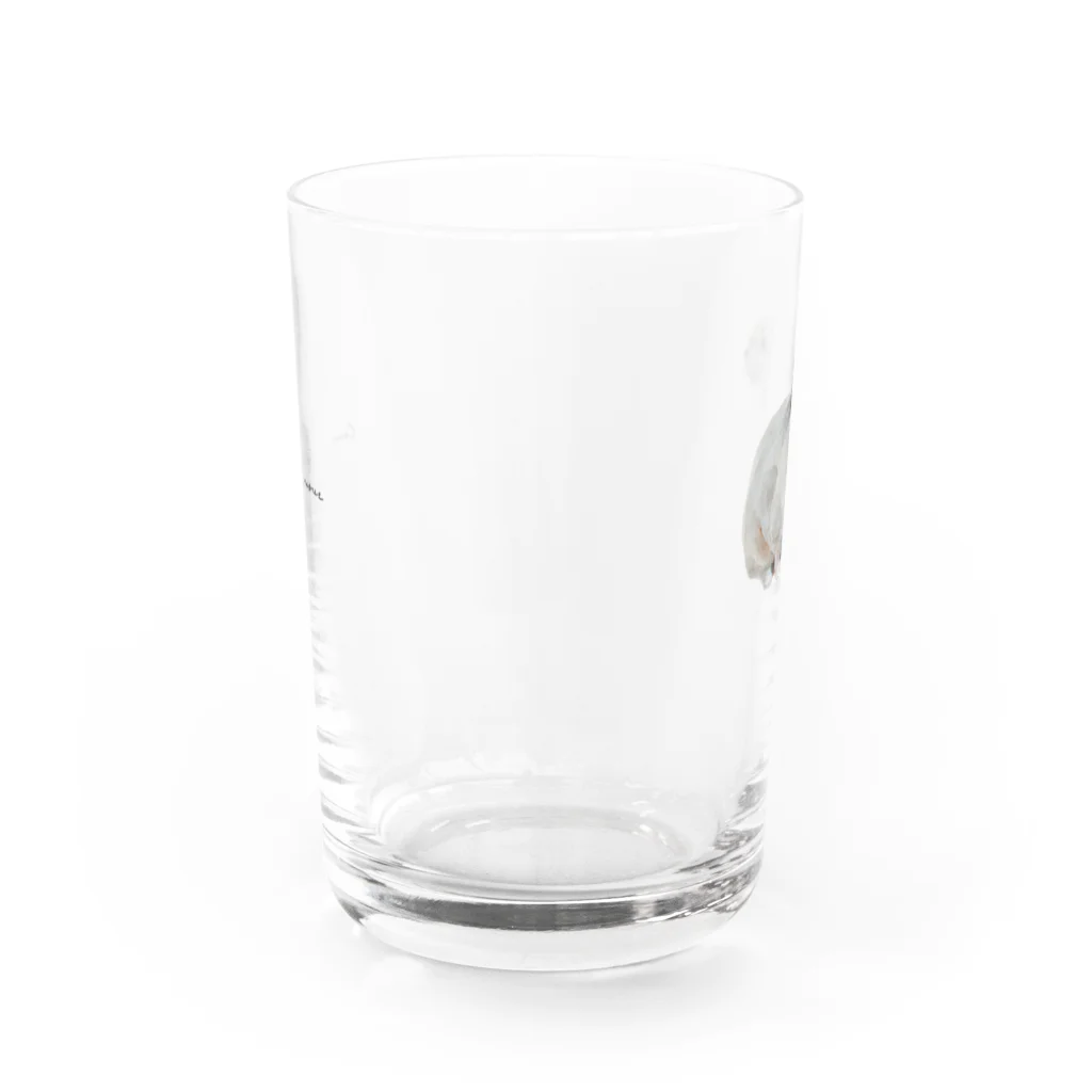 Canako Inoueのうさぎ Water Glass :front