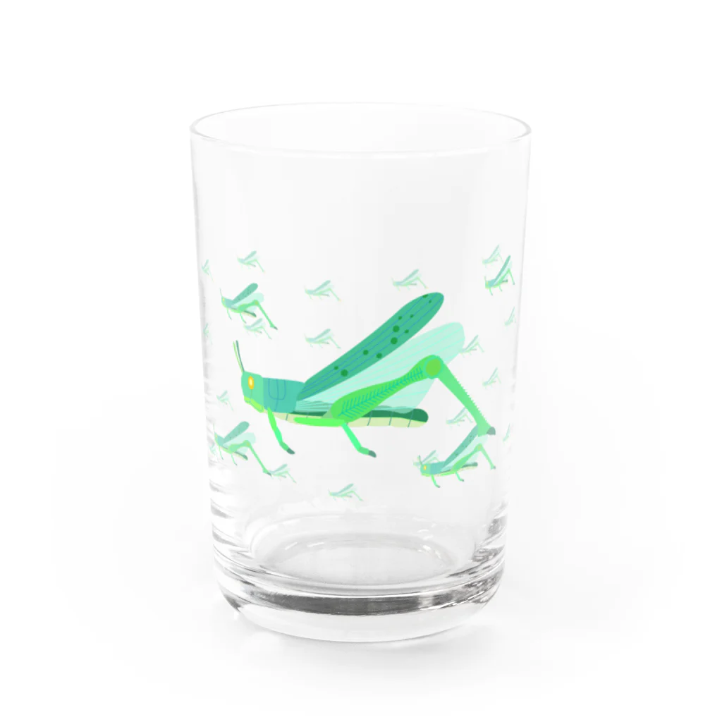 illust_designs_labのサバクトビバッタ 孤独相 群体・蝗害  Water Glass :front