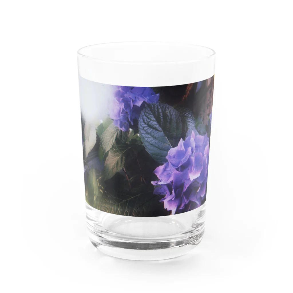 Takaの紫陽花 on the road Water Glass :front