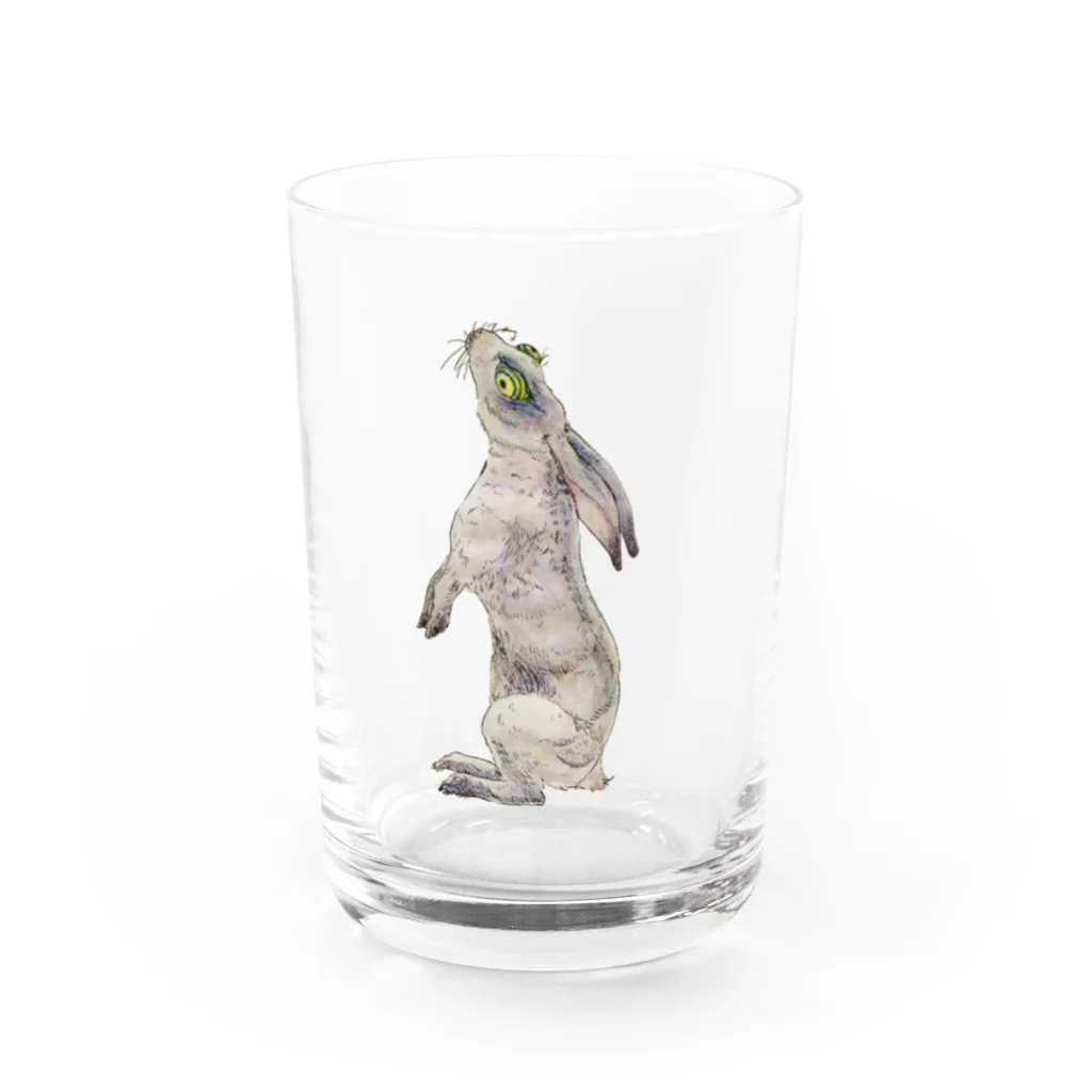 MiyamaのRabbit Water Glass :front