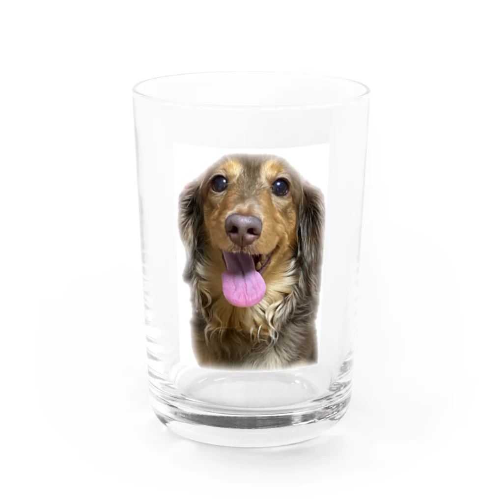 良々の美犬モカちゃん(犬、Mダックス) Water Glass :front