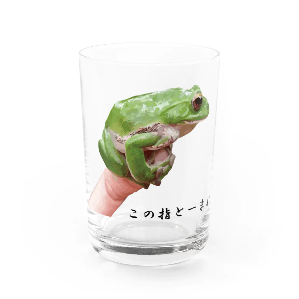 KUREOのこの指とまれ（モリアオガエル） Water Glass :front