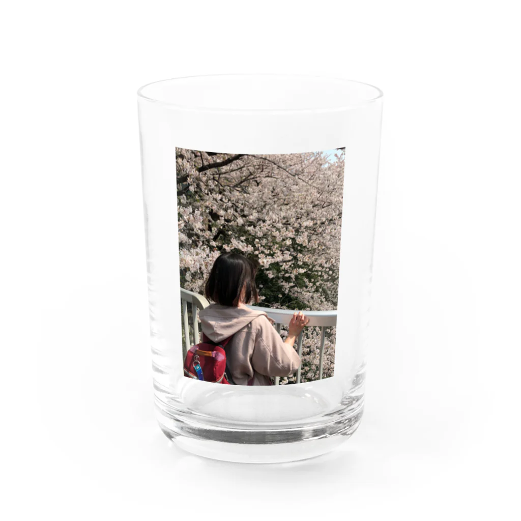 ふれちゃんの花見のシーズンはもう過ぎましたけど？ Water Glass :front