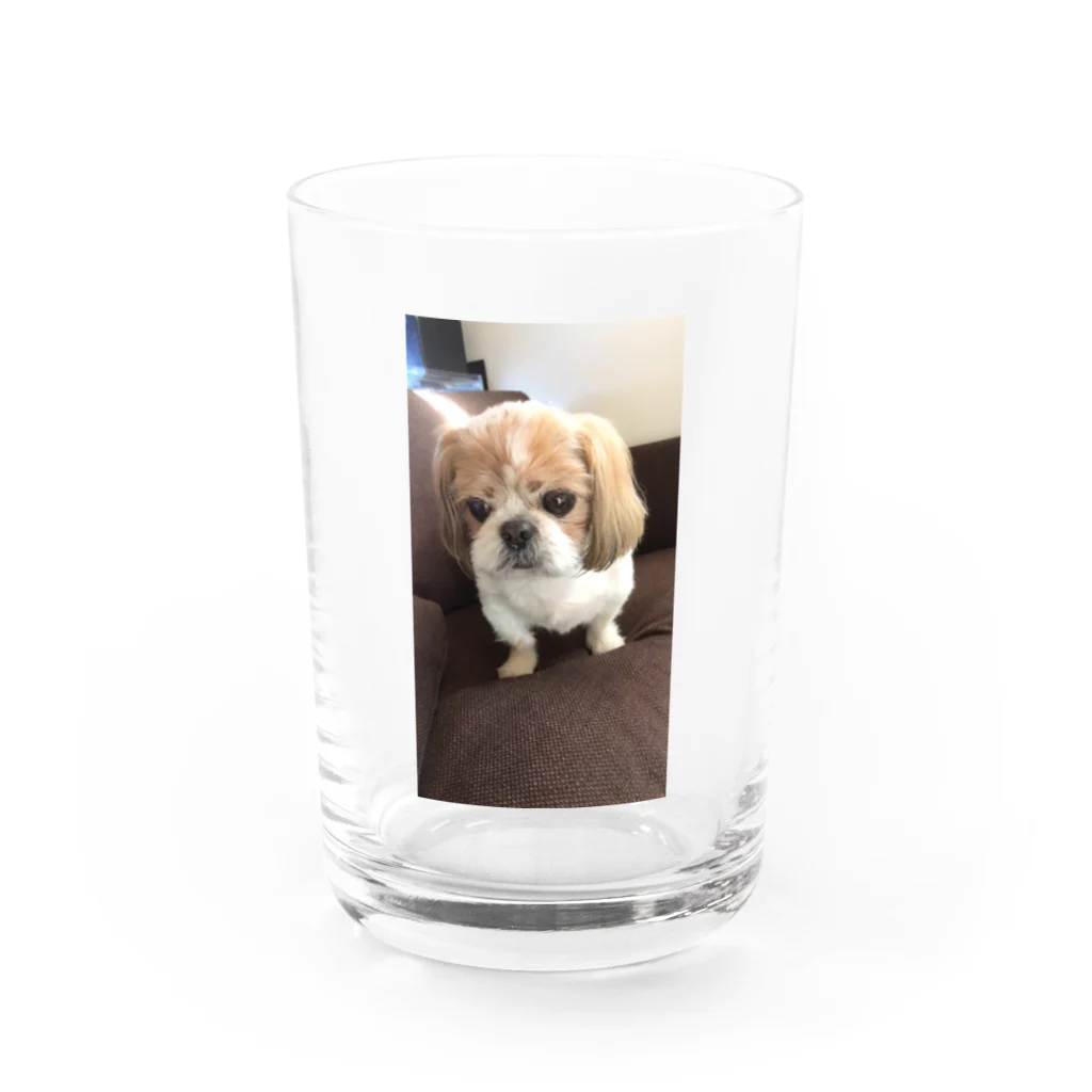 nana05のわんちゃん Water Glass :front