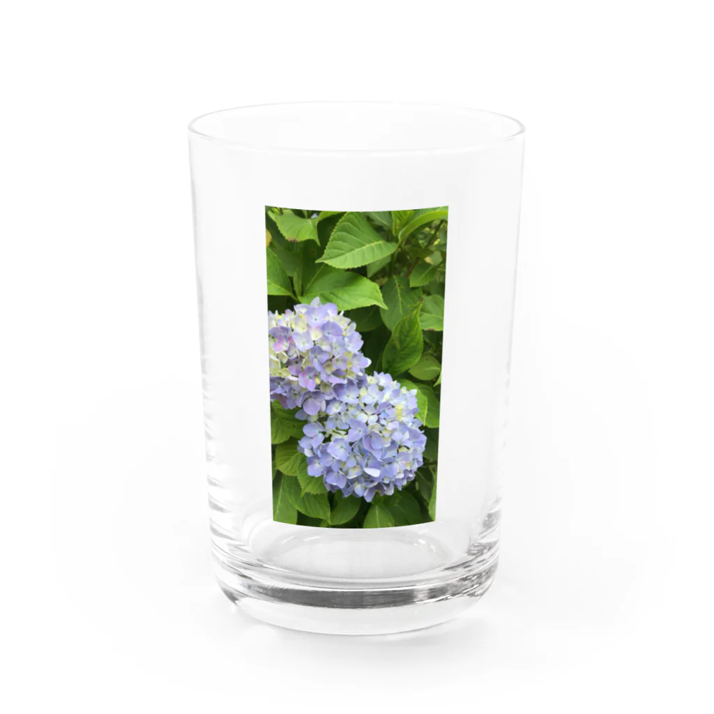 nana05の紫陽花 Water Glass :front