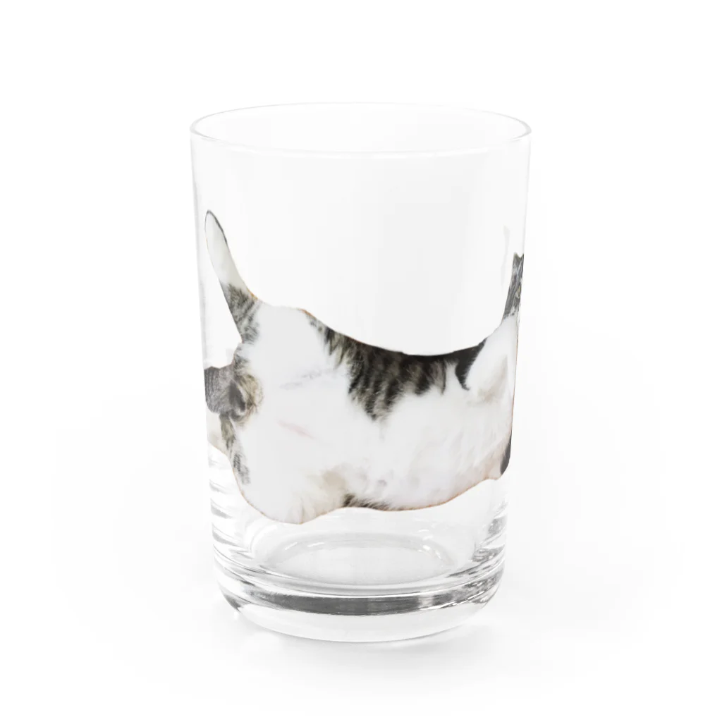 金ちゃんの部屋のキッズ時代の金ちゃん Water Glass :front