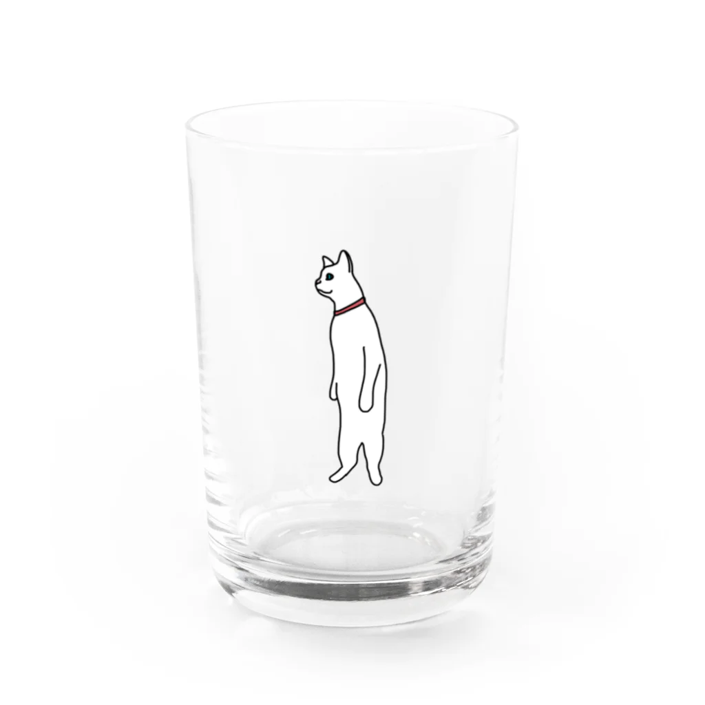 Soragasukiの立ち上がった猫 Water Glass :front