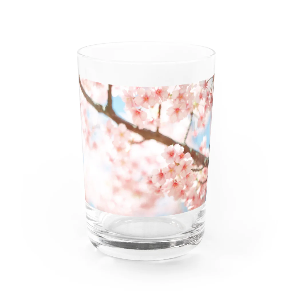ありさのキラメクセカイ-桜その2- Water Glass :front