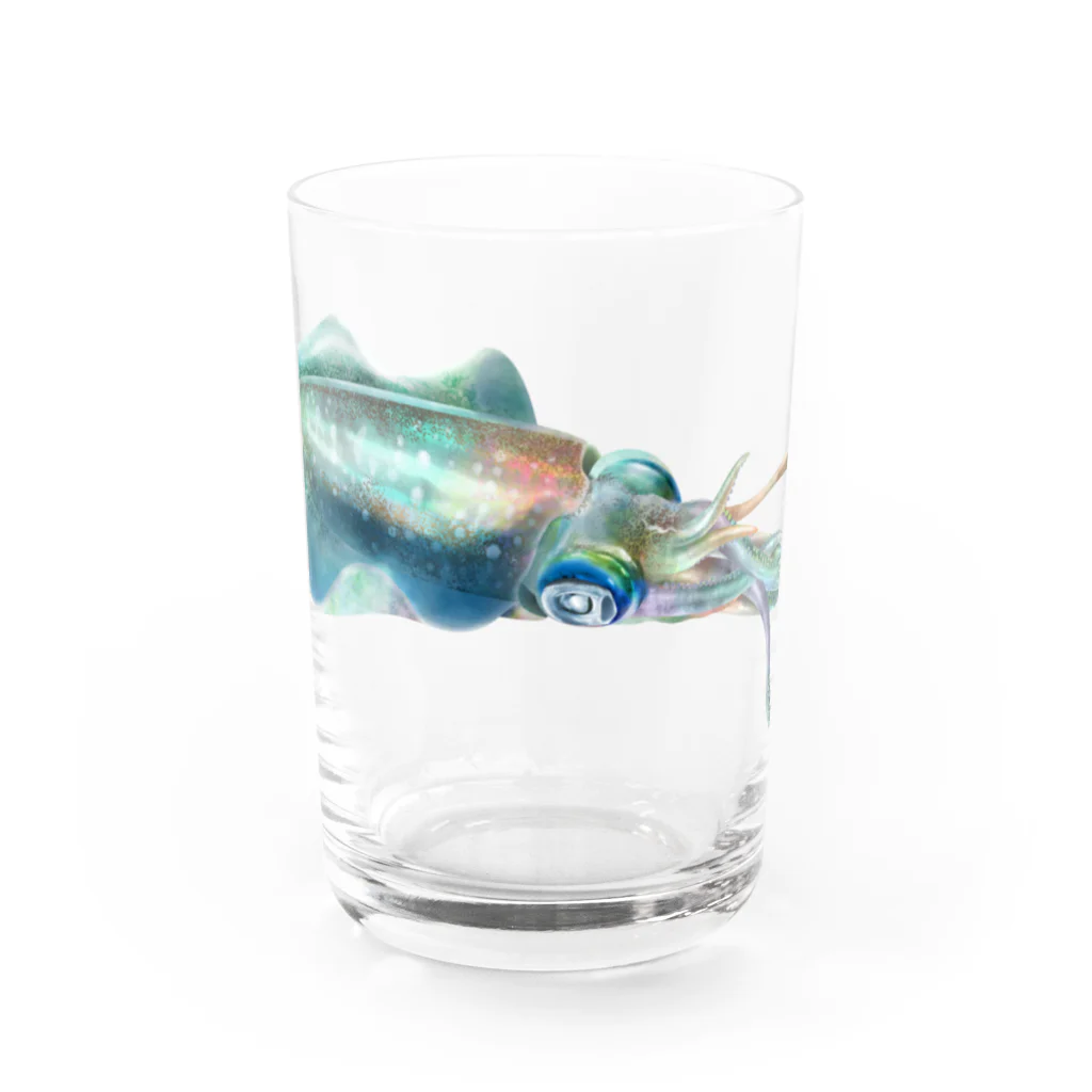 OJIKのアオリイカ Water Glass :front