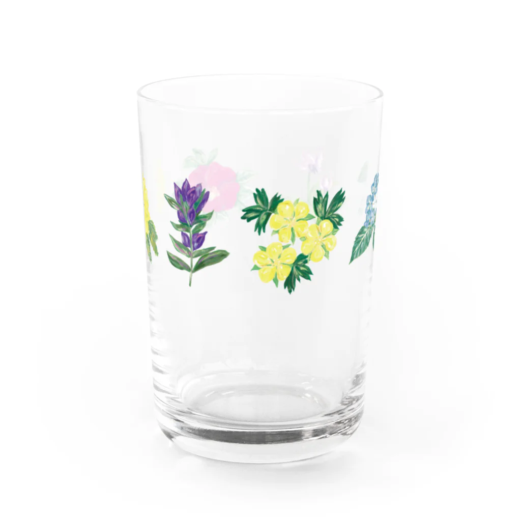 Asahi art styleの北海道の花々 Water Glass :front