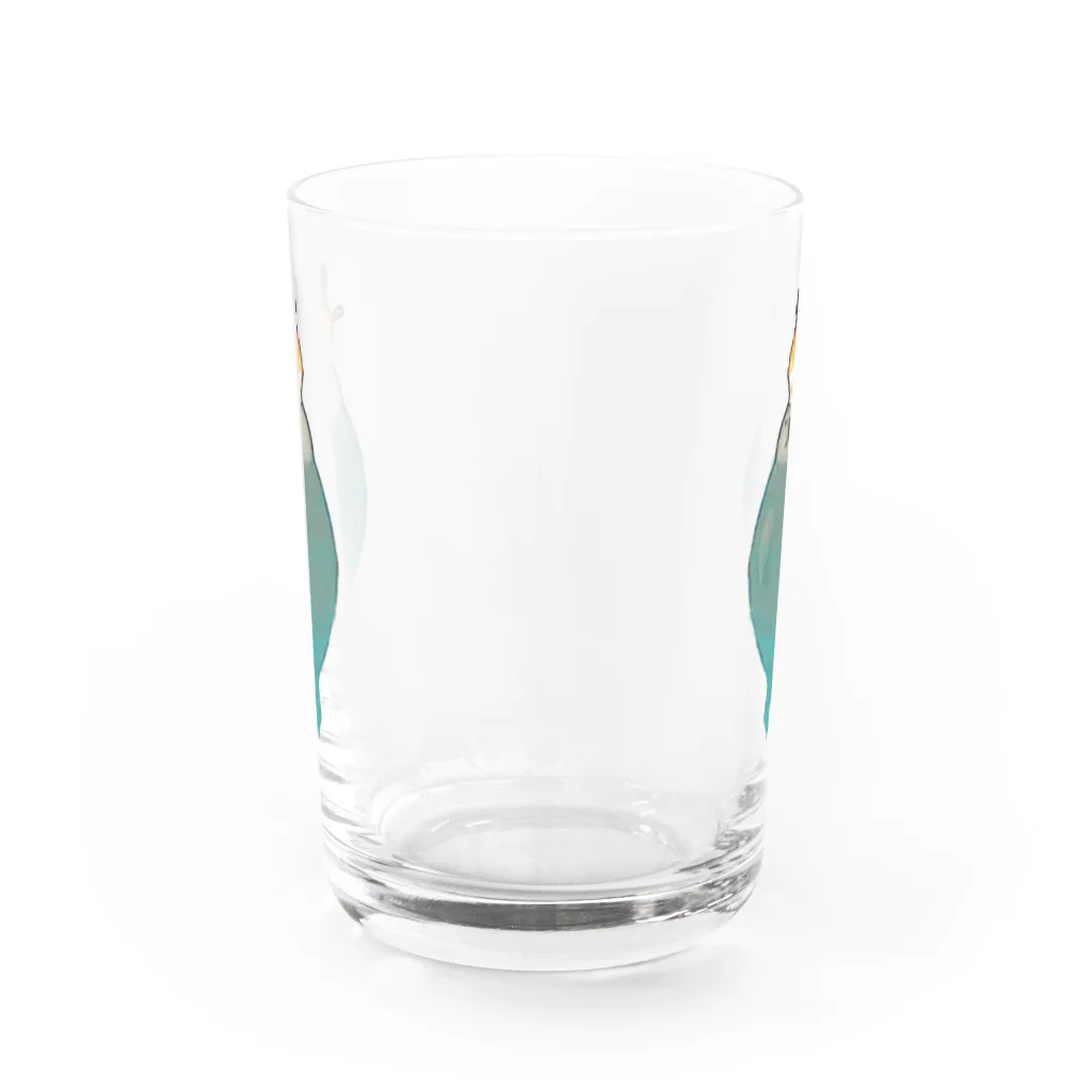 GRADUCAのプカプカアザラシ Water Glass :front