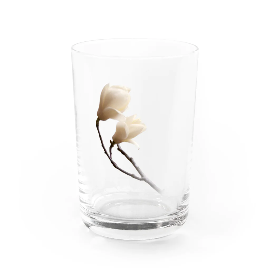 suparnaのマグノリア Water Glass :front