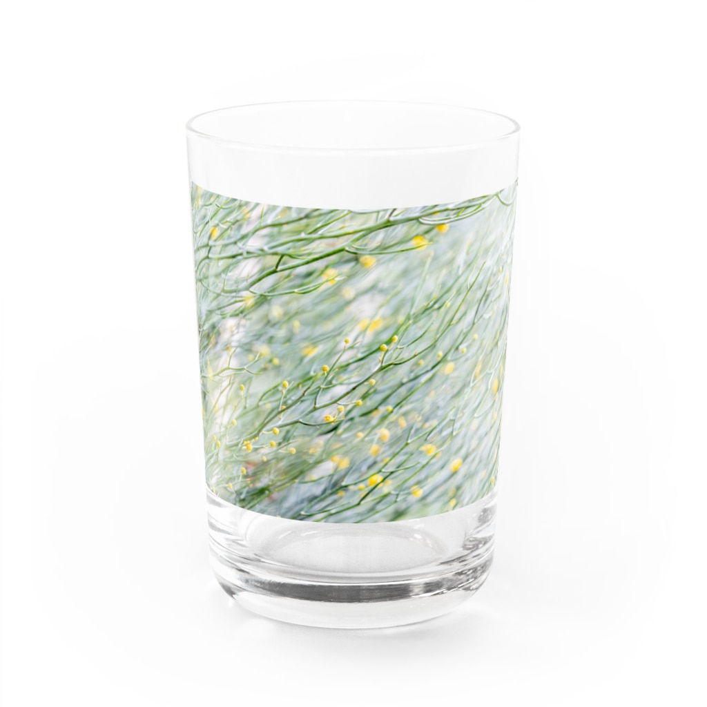 自然光/反射光のbubble Water Glass :front