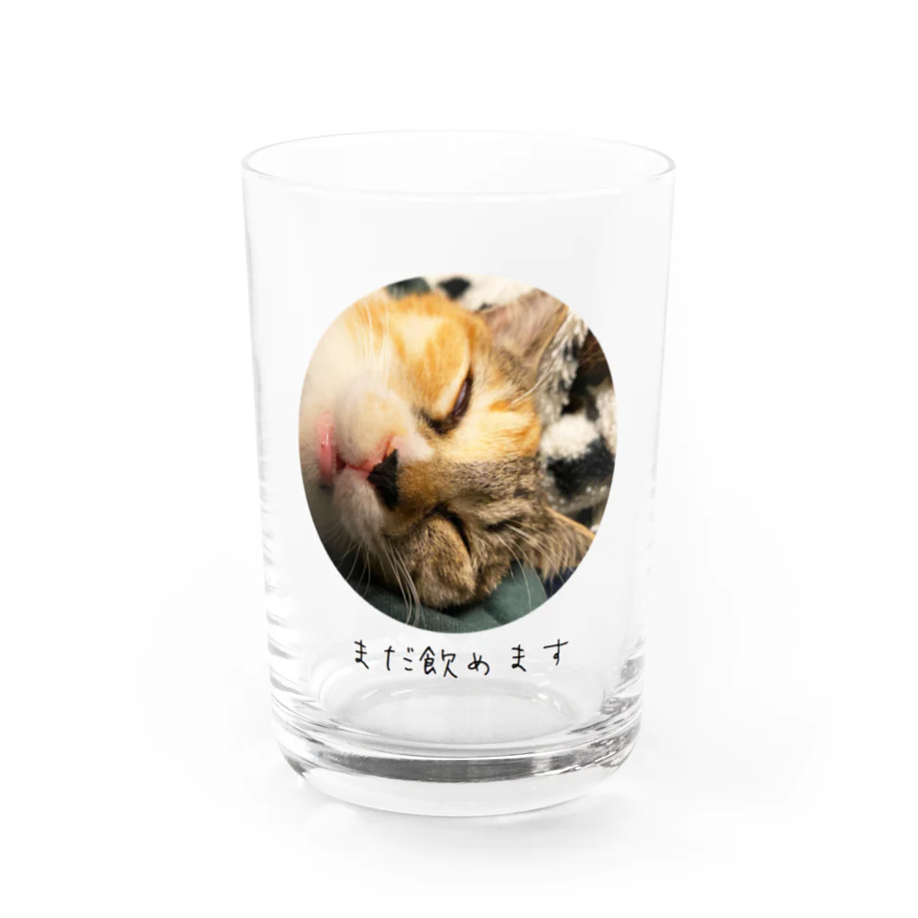 Y.Koyamaの解脱猫 Water Glass :front