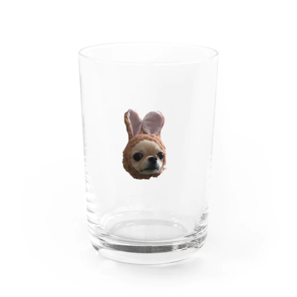 このみん¨̮♥のじゅびちゃん Water Glass :front