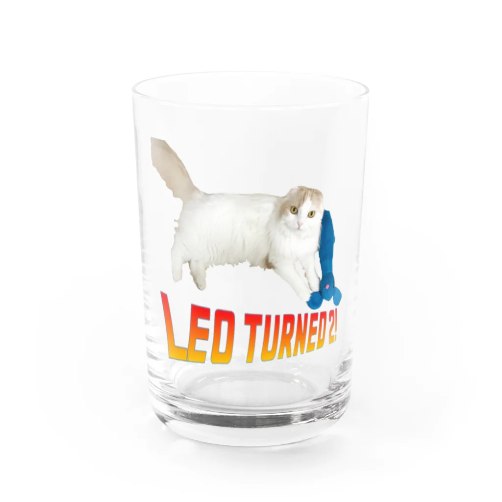 TMONSTER GAMESのLeo cats Water Glass :front