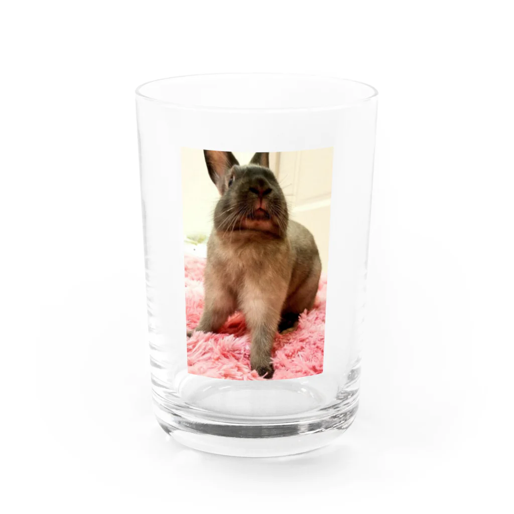 mimichanのみみちゃん Water Glass :front
