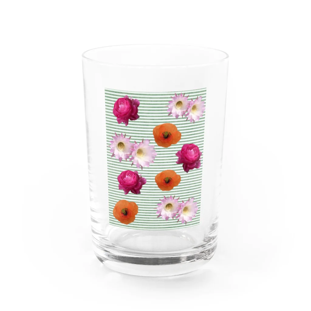 AKの花柄　×  ボーダー　グリーン Water Glass :front