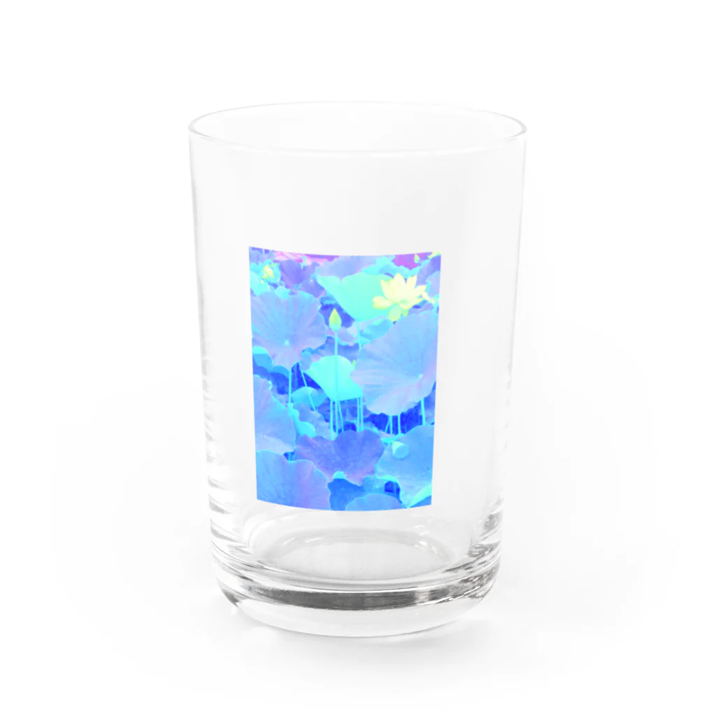 Null2の蓮 Water Glass :front