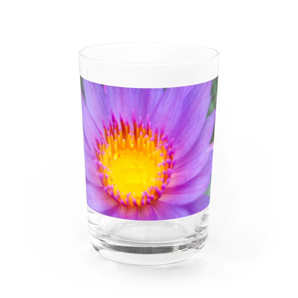 8l0のFlower drop 睡蓮 Water Glass :front