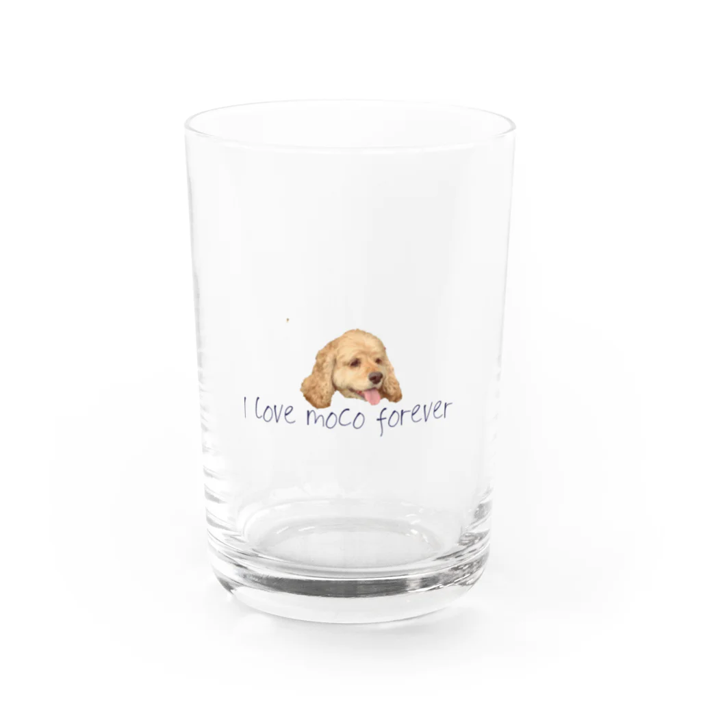 愛犬のモコさんのアイラブモコさん Water Glass :front