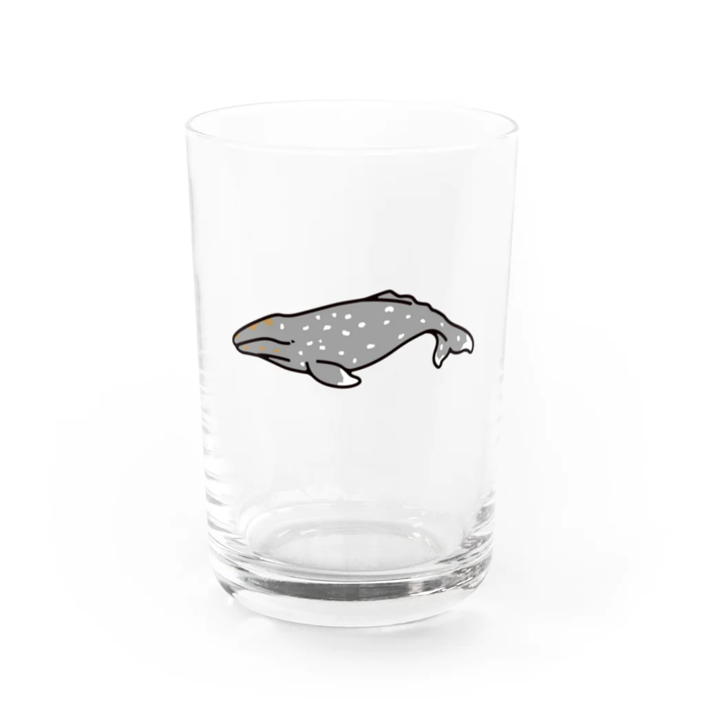 クジラの雑貨屋さん。のコククジラ・グラス Water Glass :front