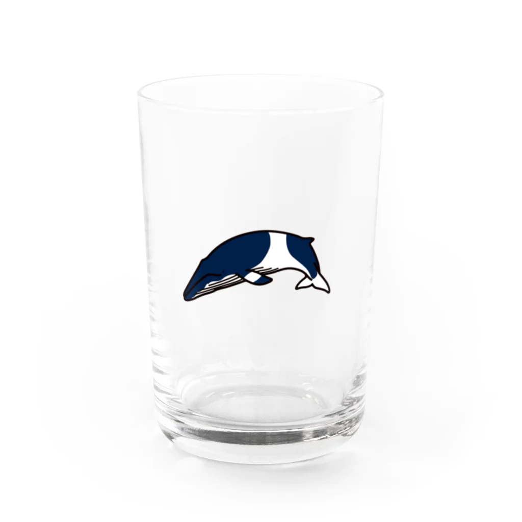 クジラの雑貨屋さん。のミンククジラ・グラス Water Glass :front