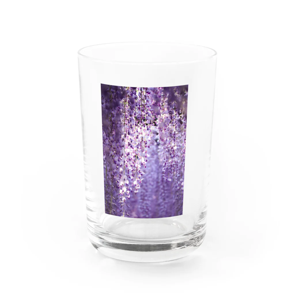 8l0の長藤　花　藤の花 Water Glass :front