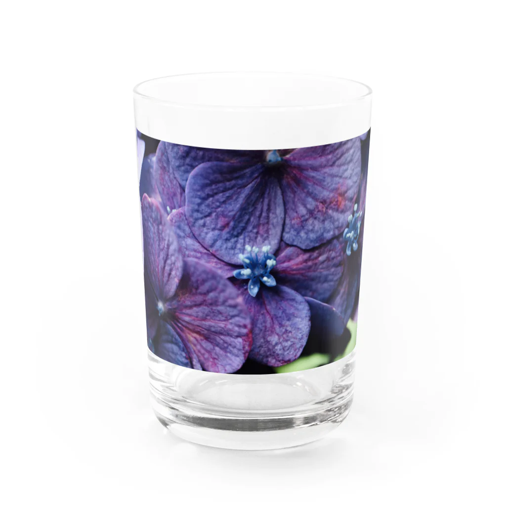 8l0の紫陽花　紫 Water Glass :front