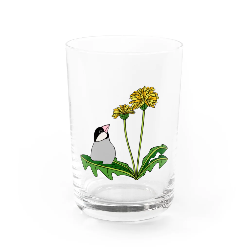 prunelleの文鳥とタンポポ Water Glass :front