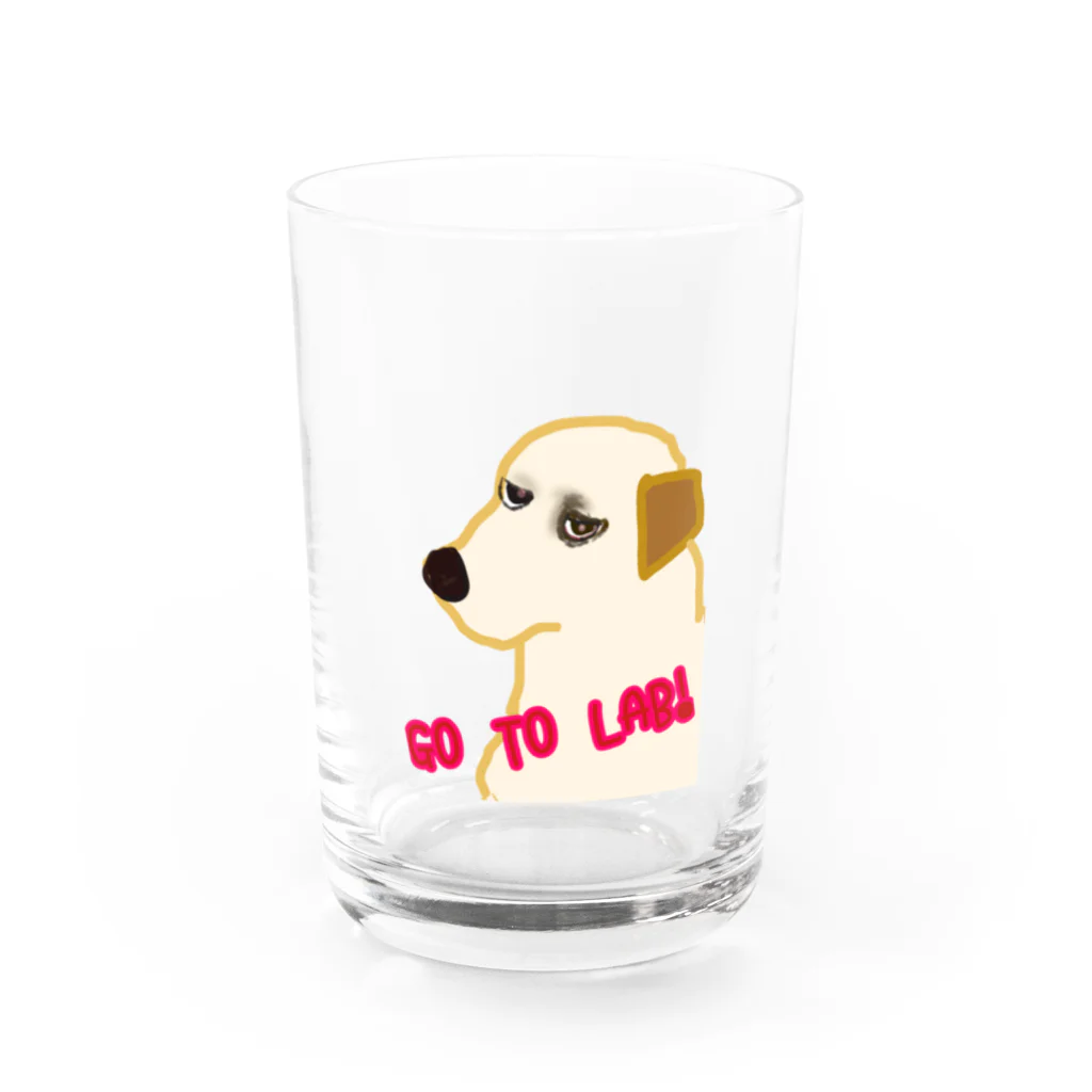 DOGLABのGo to LAB Water Glass :front