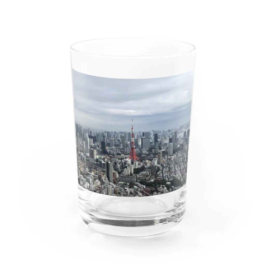 FumiProgrammerの高台から眺める東京タワー Water Glass :front