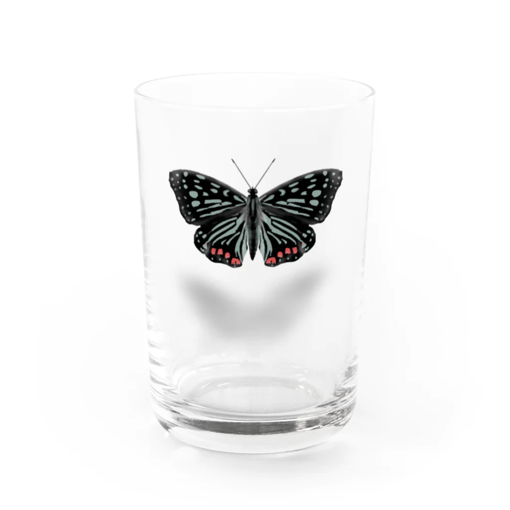 Kanshadoのアカボシゴマダラ Water Glass :front