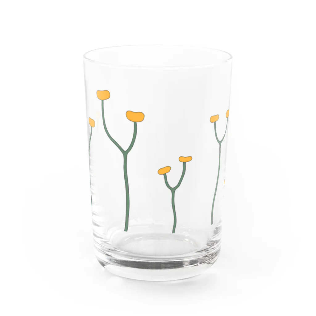 アトリエヱキパのクックソニア（Cooksonia） Water Glass :front