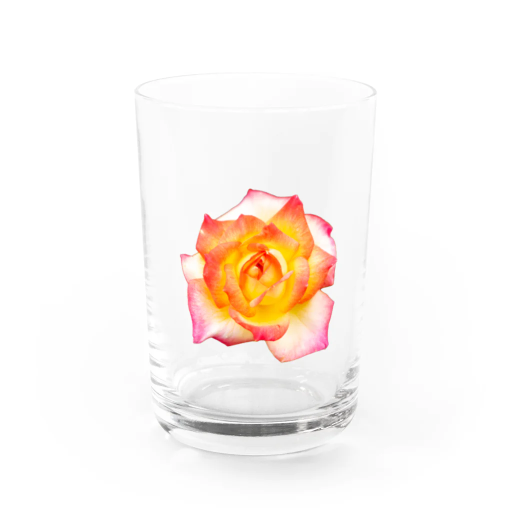 思い出の管理者のその名も薔薇 Water Glass :front